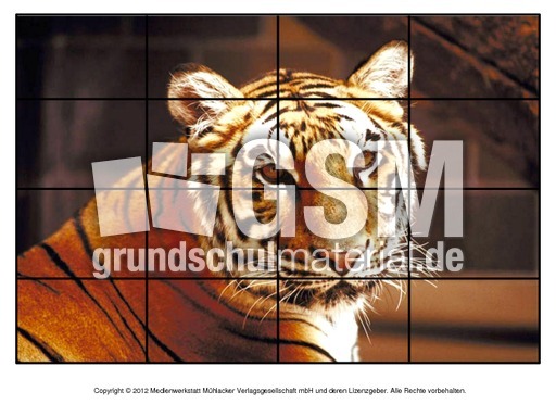 Puzzle-Tiger-2.pdf